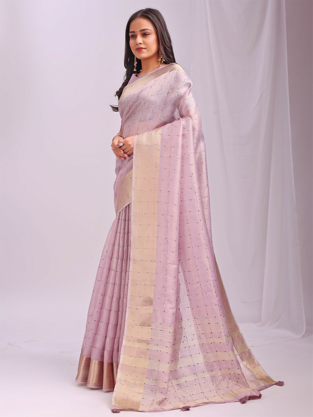 Astita Organza Light Pink Saree