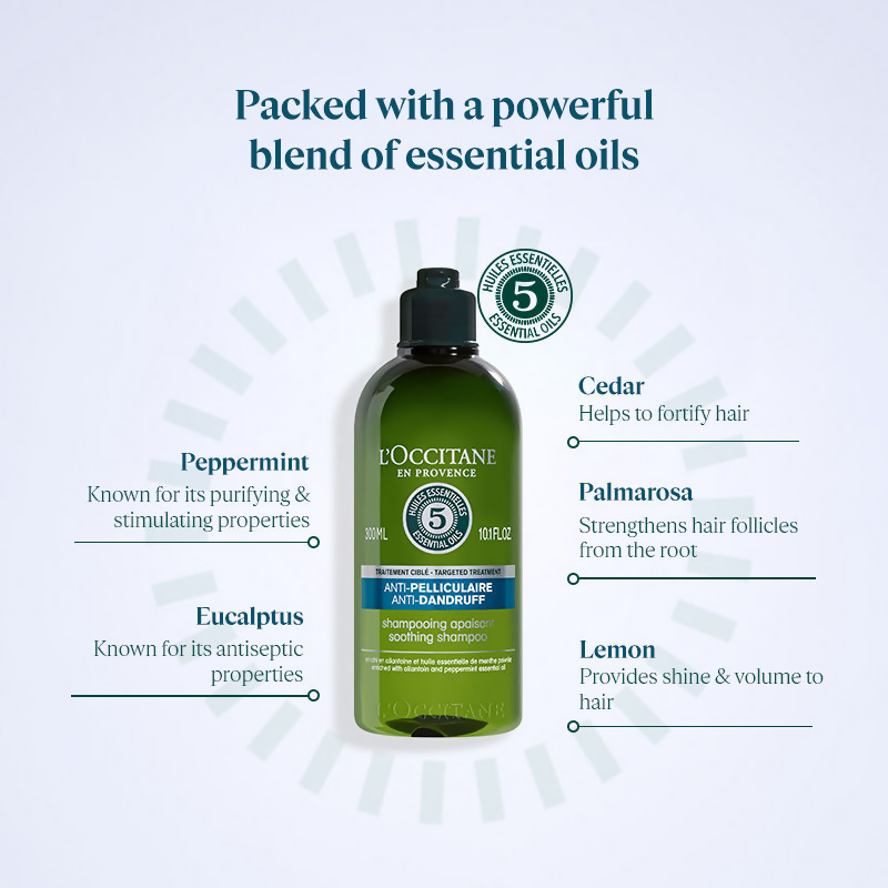 download - 2024-09-21T190619.925