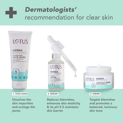 Lotus DermaBotanics Kojic acid + Multi Berry Face Serum - Distacart