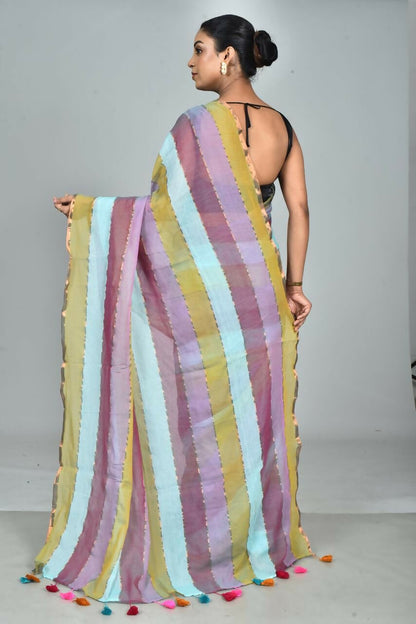 ECKCHStripSareeMulti1 (7)