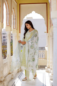 Thumbnail for Vaasva Women Pista Green Linen Printed Kurta, Pant & Dupatta set - Distacart