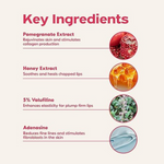 Thumbnail for Frudia Pomegranate Honey 3 In 1 Lip Balm - Distacart