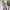Teeya Creation Purple Color Crunchy Silk Embroidery Work Festiwal Wear Salwar Suit