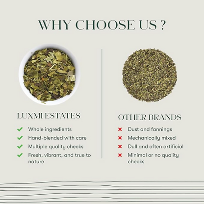 Luxmi Estates Moringa Mint Herbal Infusion - Dista