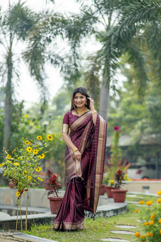 Vishnu Weaves Women's Maroon Raw Silk Saree with Blouse - Distacart