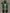 Green Pochampally Ikat Silk Handloom Dupatta with Grill Design - Global Threads - Distacart