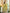 Yufta Green Pure Cotton Thread Work Sequins Work Kurta Dupatta Pant Set