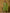 Yufta Green Silk Embroidered Plus Size Kurta Dupatta Set