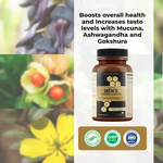 Thumbnail for Satya Pharmaceuticals Men's Overall Health Capsules