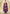 Vegaa Fashion Purple Chinon Digital Print Designer Palazzo Suit