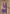 Vegaa Fashion Violet Real Chinon Digital Print Palazzo Suit