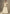 Vegaa Fashion Off White Chinon Embroidered Designer Palazzo Suit
