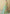 Vegaa Fashion Multicolor Real Muslin Digital Print Anarkali Suit