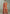 Vegaa Fashion Orange Chinon Embroidered Designer Palazzo Suit