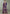 Vegaa Fashion Violet Chinon Embroidered Designer Palazzo Suit