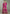 Vegaa Fashion Rani Pink Chinon Embroidered Designer Palazzo Suit