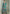 Vegaa Fashion Turquoise Chinon Embroidered Designer Palazzo Suit