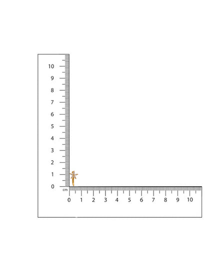 Ruby Raang Gold Star Nose Pin - Dista