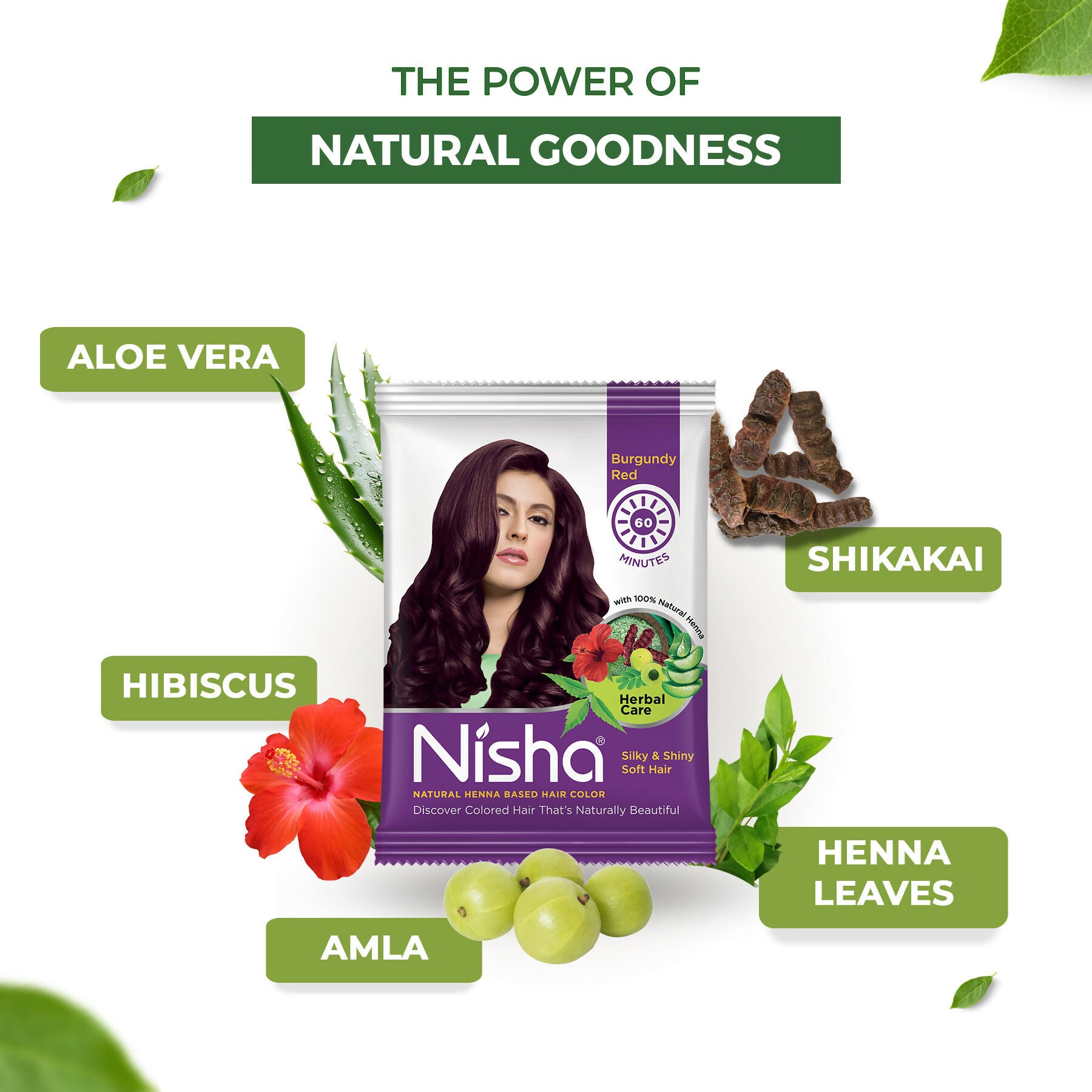 Nisha Henna Based Hair Colour for Women & Men Burgundy Red (Pack of 10) - Distacart