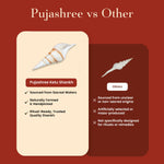 Thumbnail for Pujashree Ketu Shankh – Navagraha Conch For Ketu Dosha Remedies & Puja - Dista