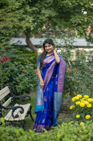 Vishnu Weaves Women's Royal Banarasi Silk Saree with Blouse - Distacart