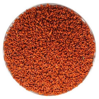 Nature Yard Organic Raw Halim Seeds - Distacart