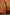 Very Much Indian Designer Mul Cotton Handloom Saree with Sequins - Orange - Distacart