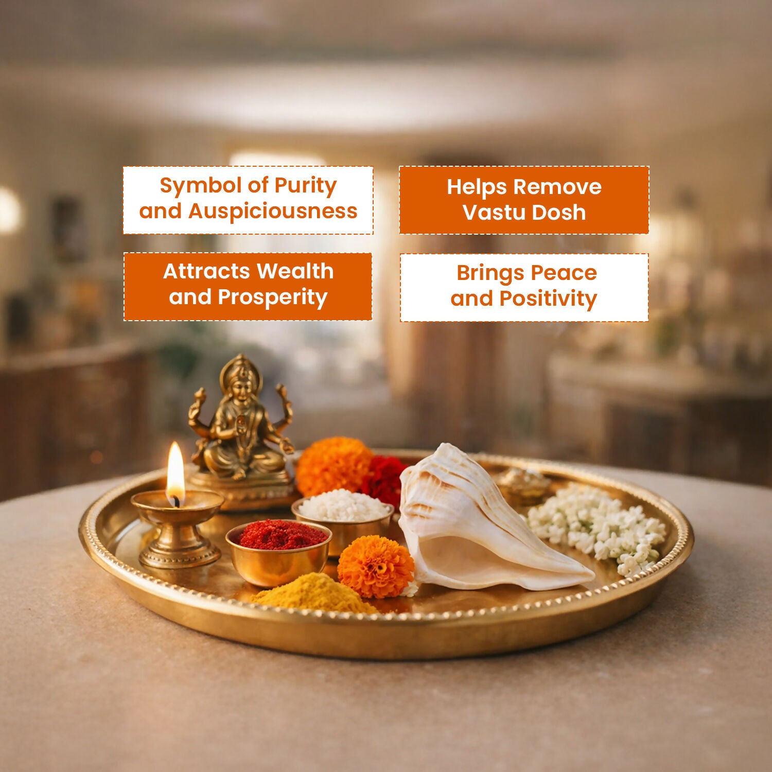 Pujashree Dakshinavarti Shankh – Sacred Hindu Conch For Puja - Dista