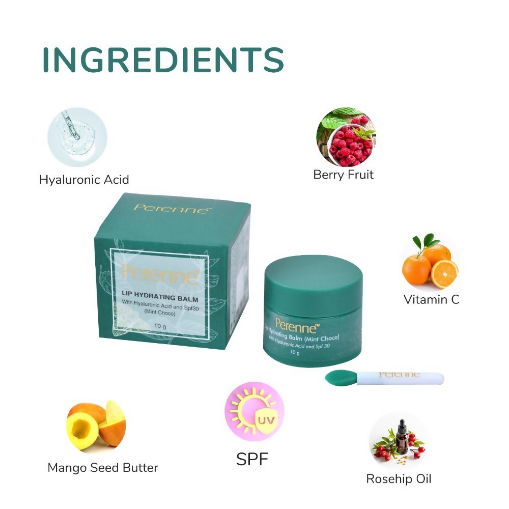Perenne Lip Hydrating Balm With Hyaluronic Acid & SPF 30 - Mint Choco - Distacart