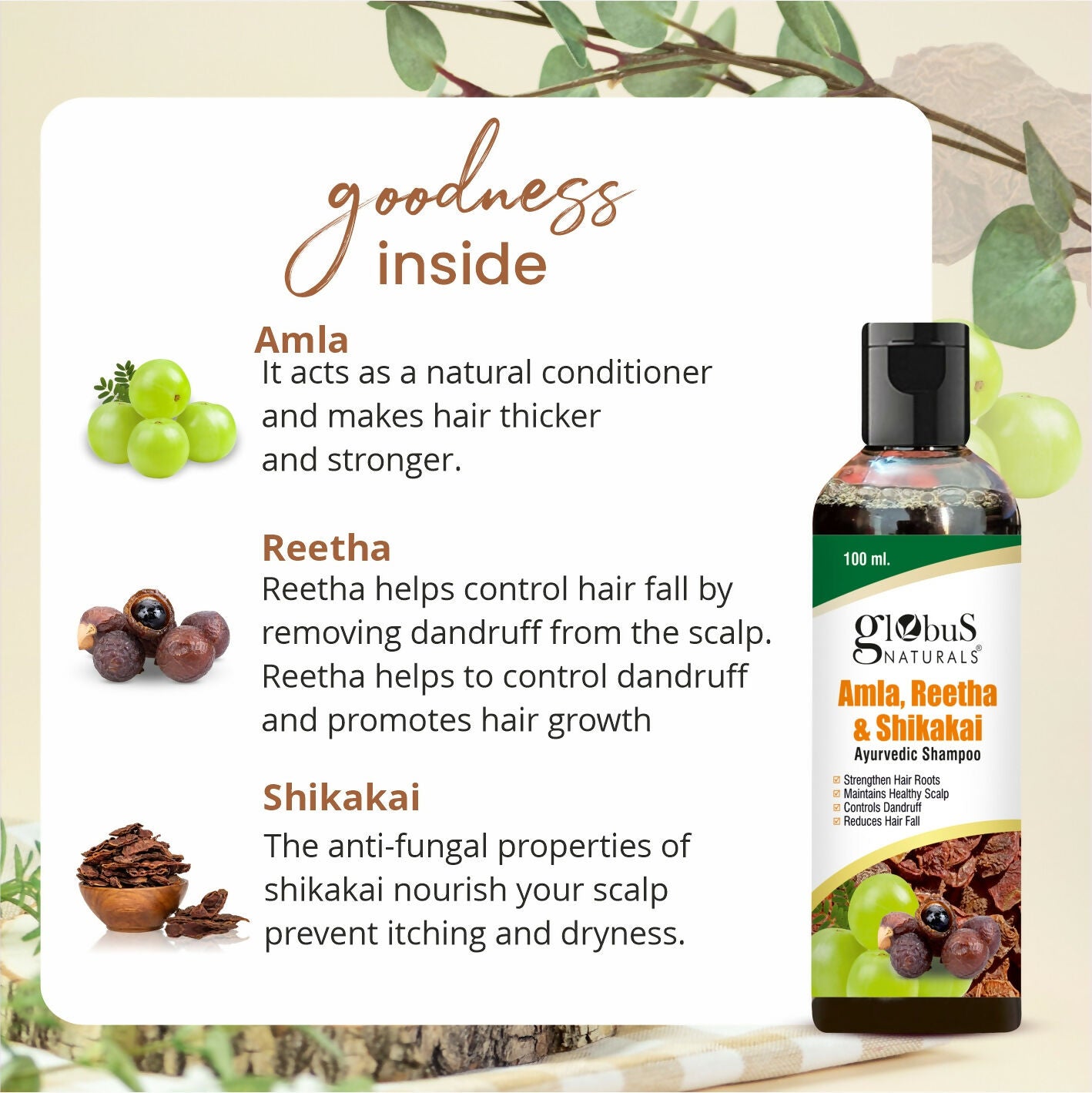 Globus Naturals Amla Reetha Shikakai Shampoo - Distacart