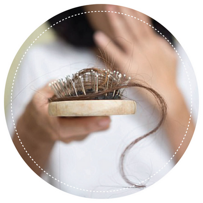 Vegetal Hair Well For Hair Fall Control - Distacart