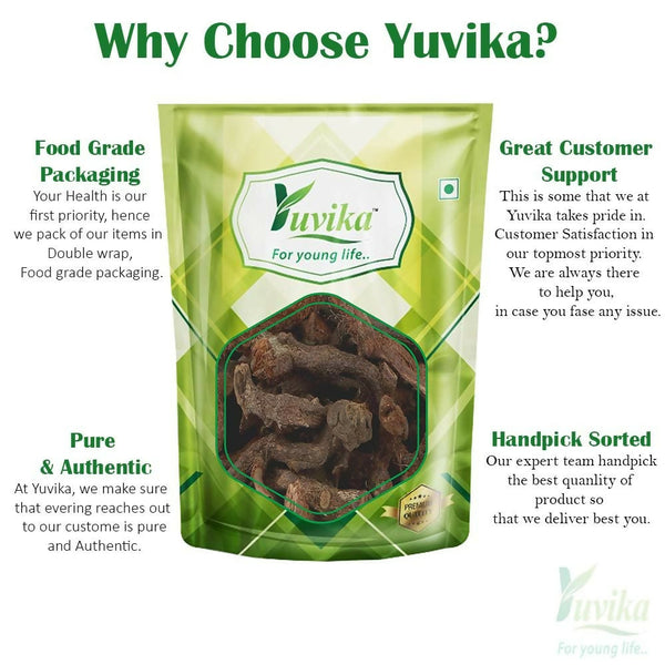 Yuvika Bispais - Bisfais - Polypodium Vulgare - Wall Fern