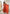 Teeya Creation Orange Color Faux georgette Embroidery Work Wedding Wear Gown