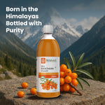 Thumbnail for Sea buckthorn born in himalayas