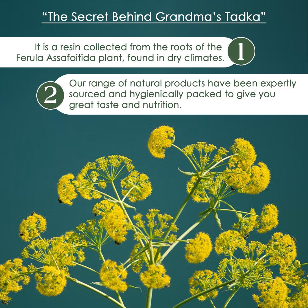 IKAI Organic Natural Asafoiteda Hing