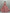Jyoti Fashion Women's Pink Heavy Net Fancy Dori, Multi Thread, Rainbow Sequins and Diamond Work Wedding Lehenga Choli - Distacart