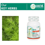 Thumbnail for Iafa Shatavari Veg Capsule