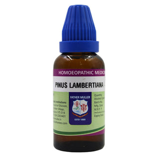 Father Muller Pinus Lambertiana Mother Tincture Q - Distacart
