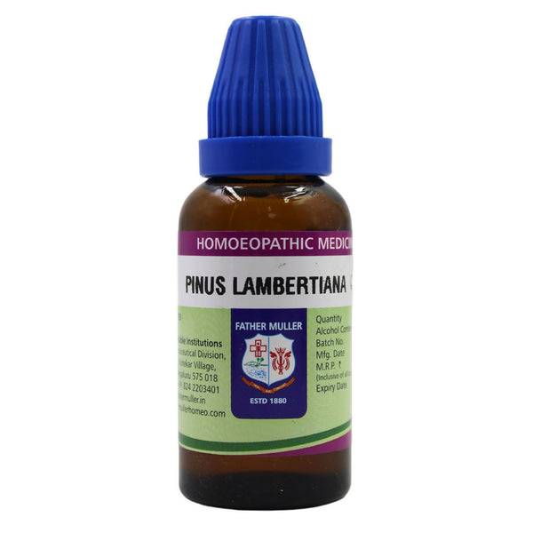 Father Muller Pinus Lambertiana Mother Tincture Q - Distacart