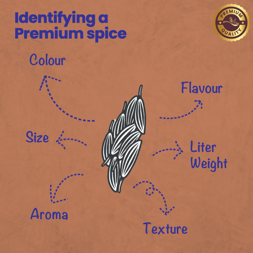 Crista Spices Cumin Powder - Distacart