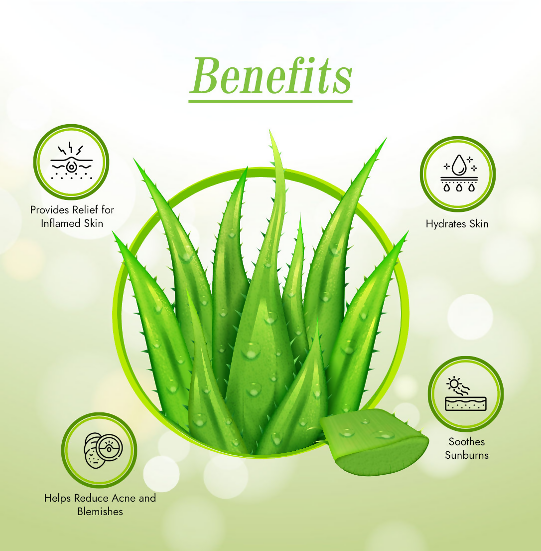 download - 2024-10-24T170542.782