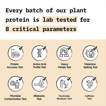 Only What's Needed 24g Plant Protein Powder - Coffee - Distacart