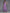 Varanga Women Purple Ikat Printed Straight Kurta With Palazzo