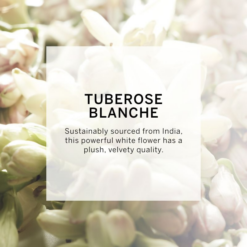 Victoria's Secret Very Sexy Oasis Body Lotion - Distacart