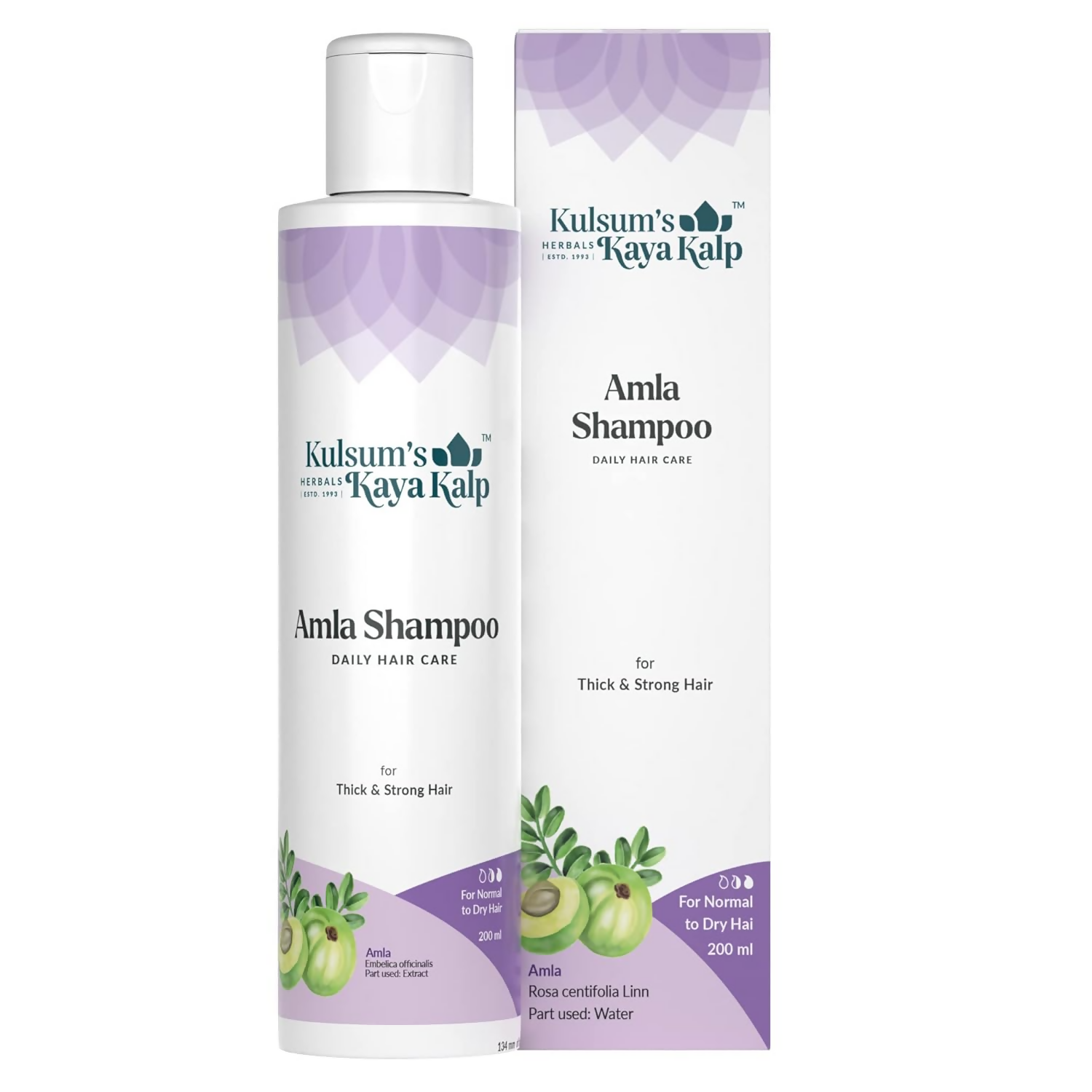 download - 2024-09-30T161504.659