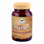 Thumbnail for Organic Wellness Shallaki Capsules - Distacart