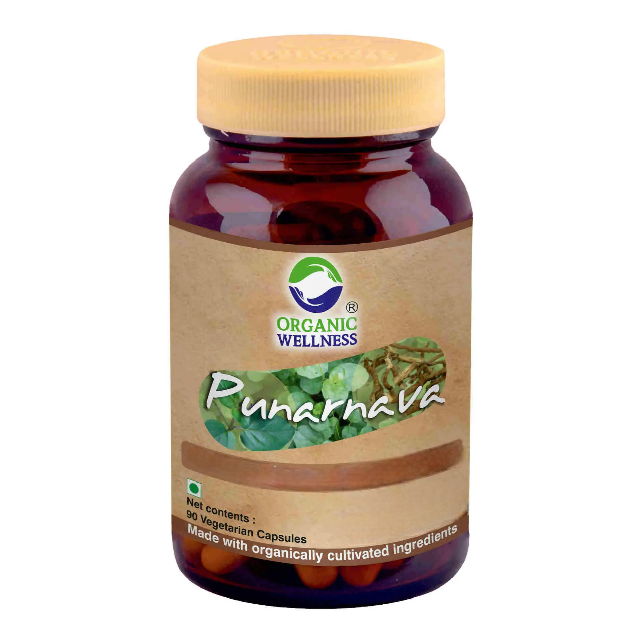 Organic Wellness Punarnava Capsules - Distacart