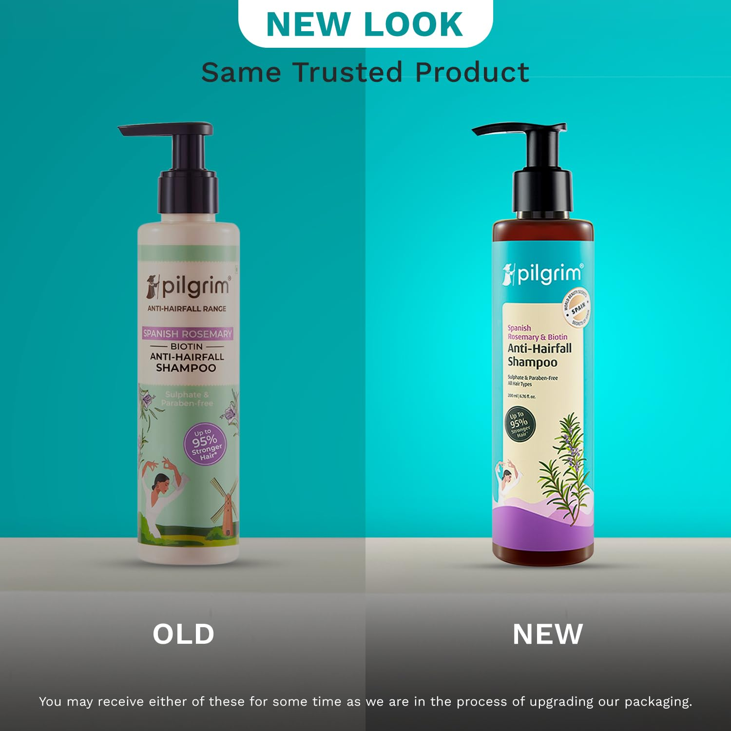 Pilgrim Spanish Rosemary & Biotin Anti Hairfall Shampoo For Reducing Hair Loss & Breakage - Distacart