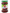 Double Horse Dates Pickle - Distacart