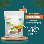 Thumbnail for Ao Organic Natural Plant Base B12 Powder